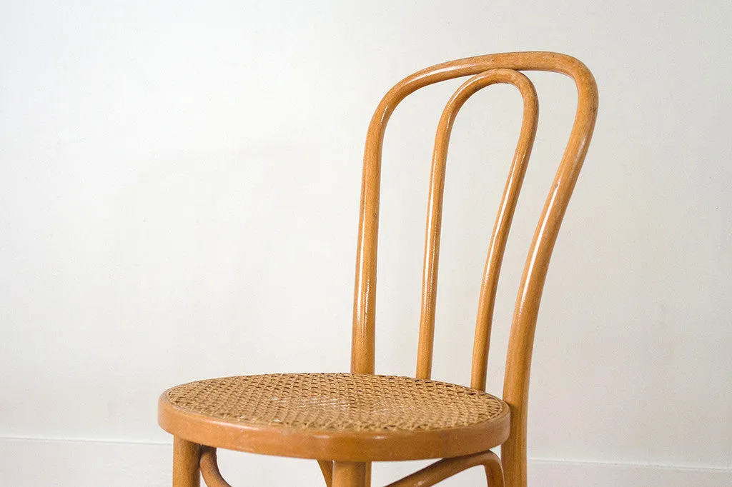 Czech Bentwood Chairs