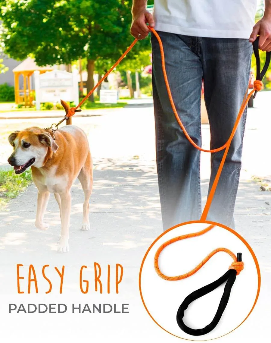 Durable Climber’s Rope Dog Leash by Mighty Paw