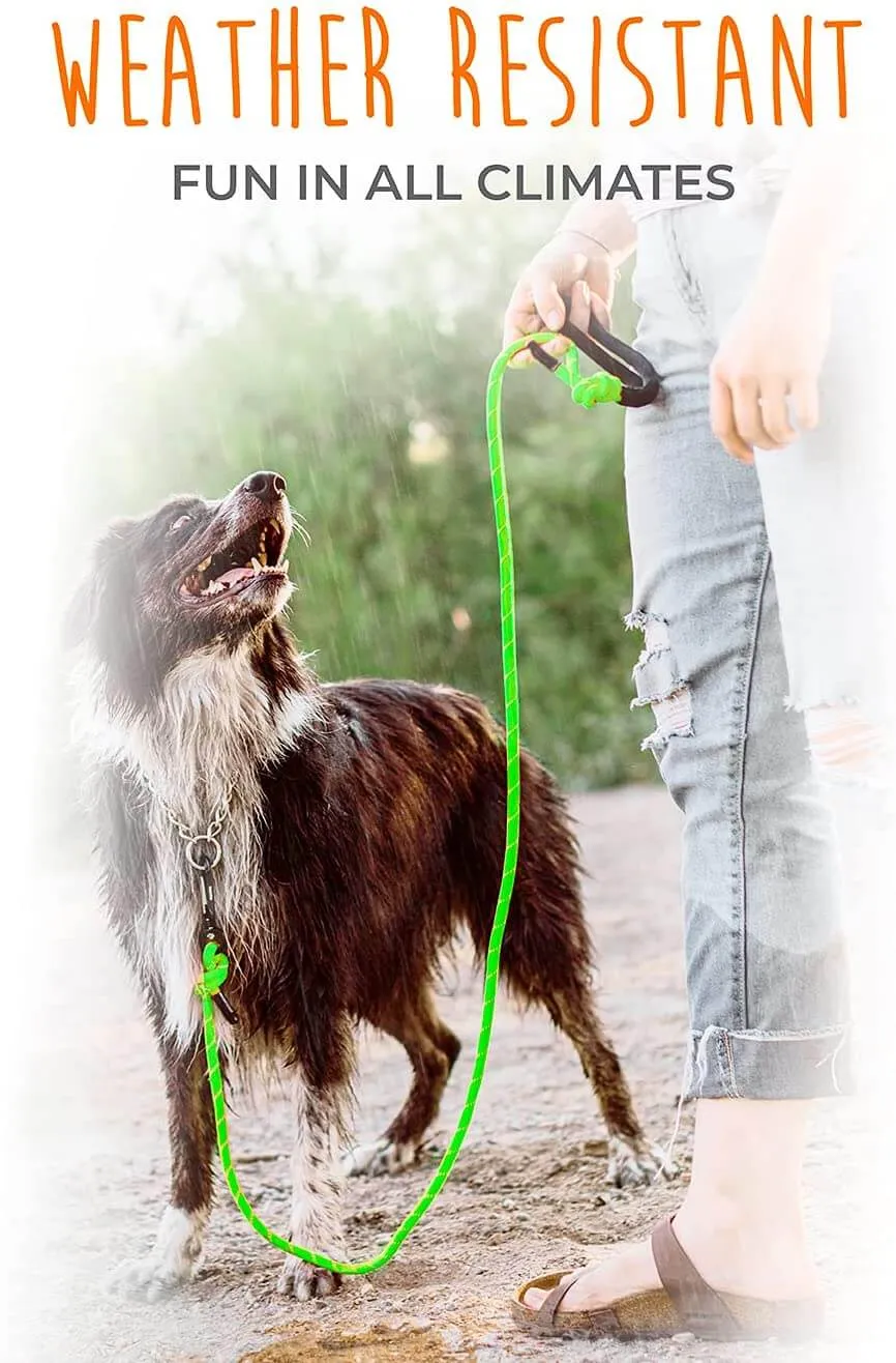 Durable Climber’s Rope Dog Leash by Mighty Paw