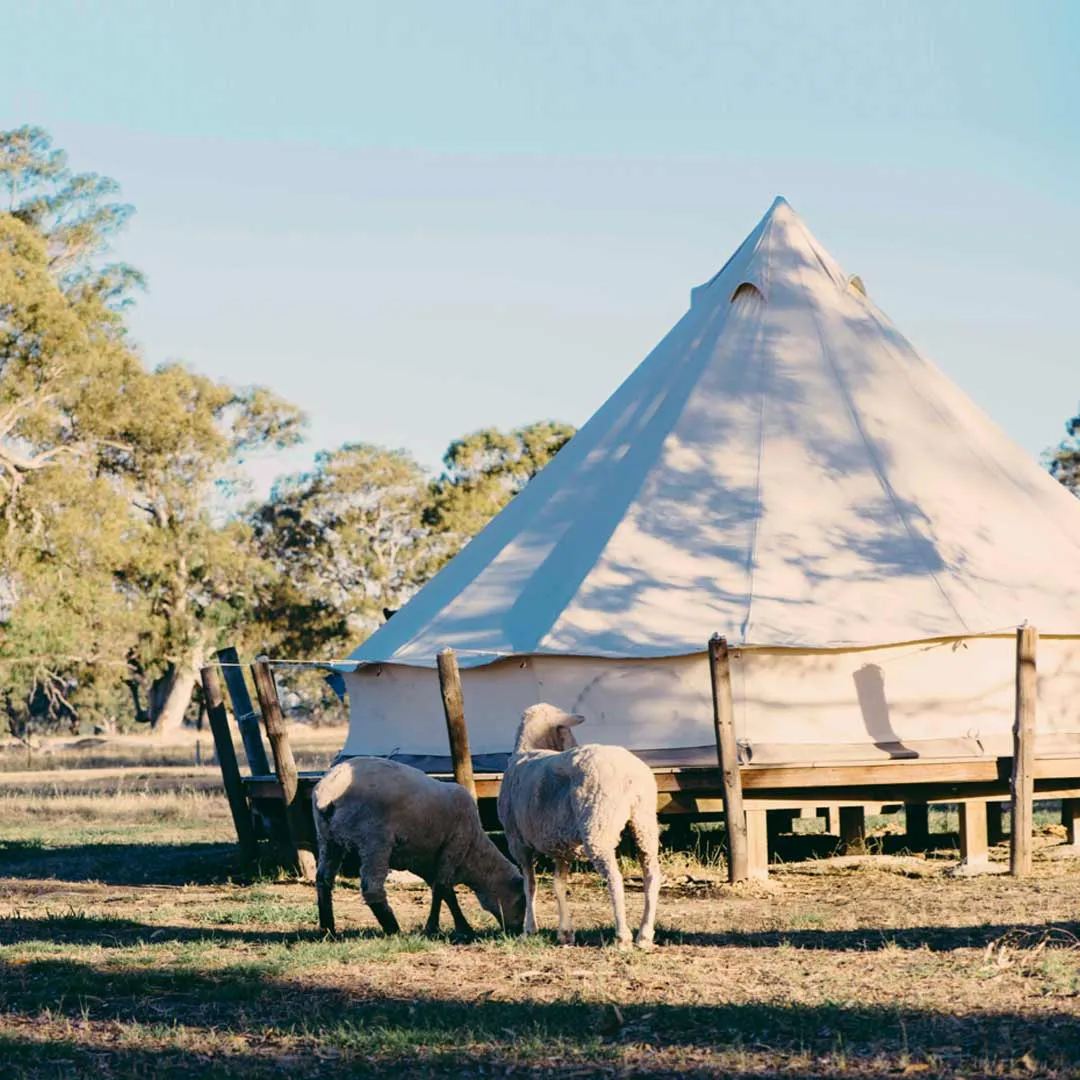 Queen Bell Tent | McDonald (single night stay)